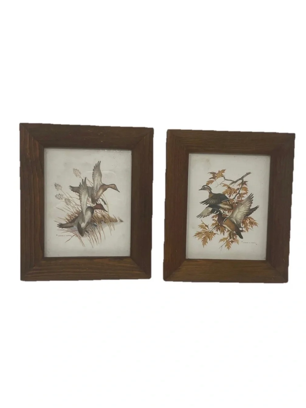 Pair Of Vintage Cape Craftsmen Duck Prints – Wood Frame Rustic Wall Art USA